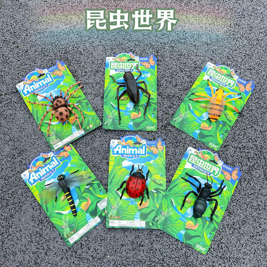 昆虫世界模型 商品图0