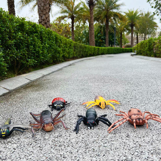 昆虫世界模型 商品图1