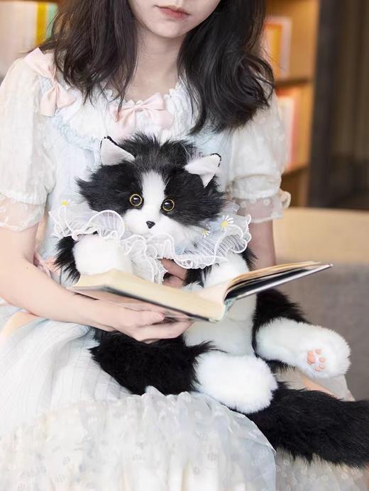 chongker布偶猫 商品图3
