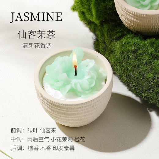 栖溪盆栽植物香薰蜡烛 雪浸山茶/仙客茉茶/山野栀茶 能种花的蜡烛 商品图1