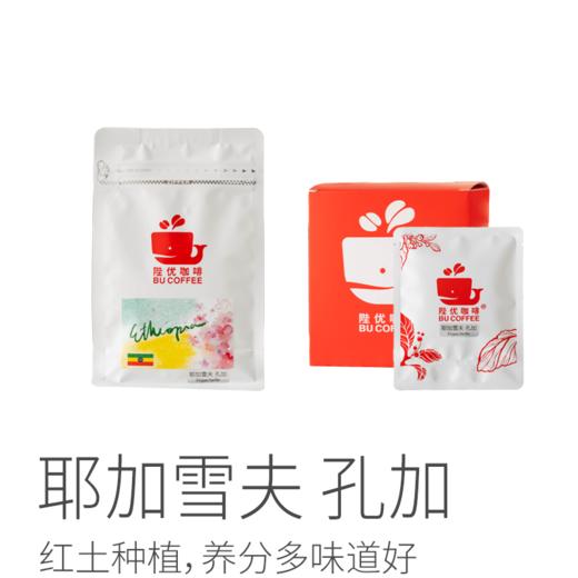 【茶馆咖啡】耶加雪夫 孔加咖啡丨当地原生种G1级咖啡豆，水洗豆，中度烘焙，红土种植，含铁量高，养分多味道好（满90元包邮） 商品图0