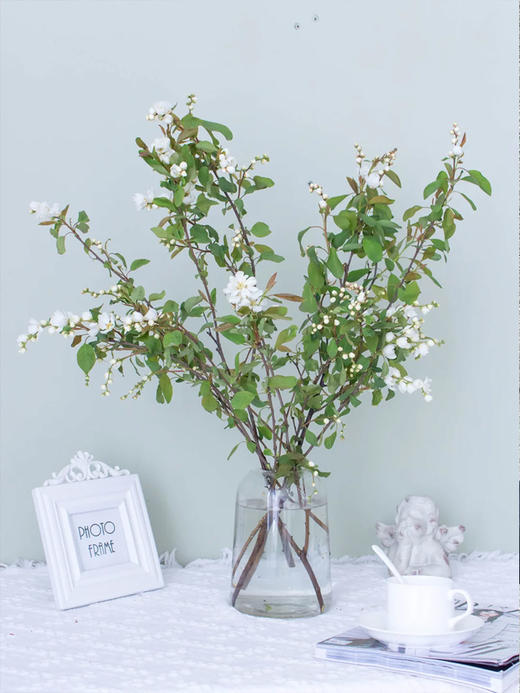 白娟梅鲜切花1扎新品 商品图0