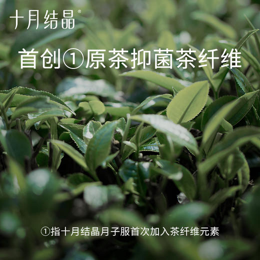 【满99-20/199-50】茶霜月子服短袖家居孕妇睡衣哺乳睡衣 商品图3