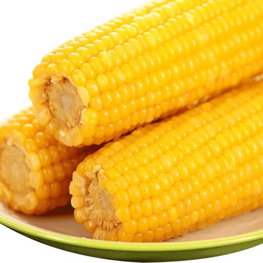 自营（月亮湾）-东北黄糯玉米 商品图6