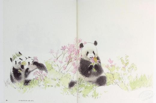 【中商原版】熊猫、偶尔是白熊 中村爱水彩绘画教程 日本画师 日文艺术原版 パンダ、ときどきしろくま 商品图6