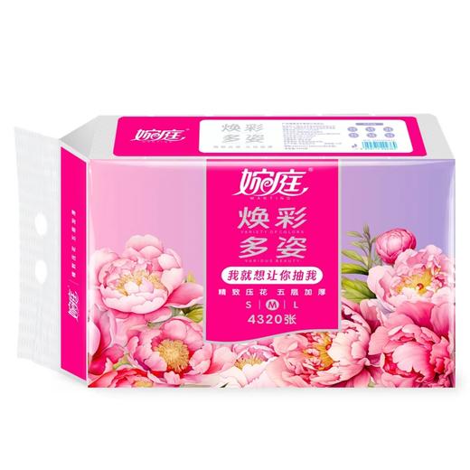 婉庭焕采多姿抽纸360张(WS5360M12)12包*10提/件 商品图0