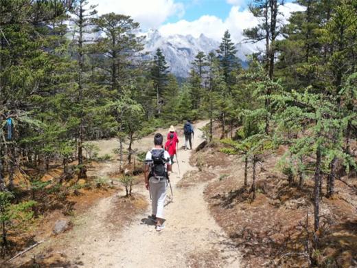 虎跳峡高路+玉龙雪山秘境丨4天3晚丨徒步之旅 每月双号集合 商品图4