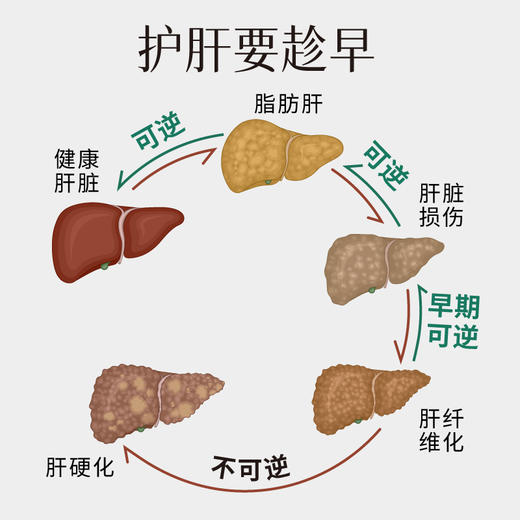 香港原产 维特健灵健肝宝60粒/盒（3盒赠健肝宝10粒）  A-4982 商品图2