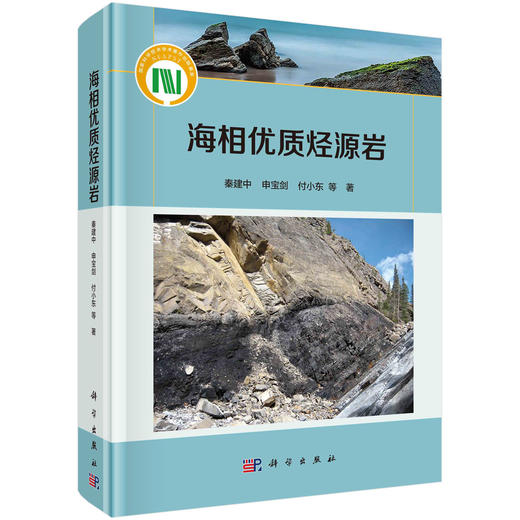 海相优质烃源岩 商品图0