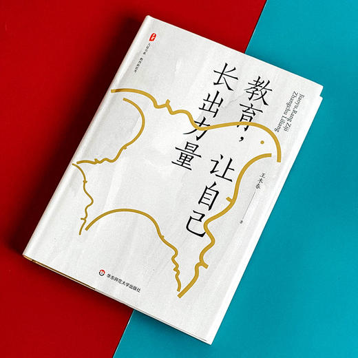 教育 让自己长出力量 大夏书系 特级教师王木春 教育新思考 商品图4