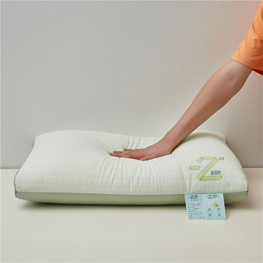 【下架】自然醒针织网眼清荷枕头枕芯护颈椎助睡眠清新薄荷刺绣枕夏季枕芯一对家用宿舍单人枕LK 商品图10