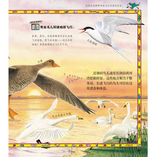 《太酷啦！动物的秘密如此多》（全12册） 商品图10