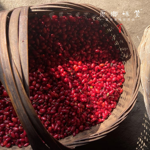 生态山茱萸（成都仓库-顺丰快递 ）| 30g/瓶，来自陕西汉中，生产者：刘义超【合作生产，公平贸易】 商品图4