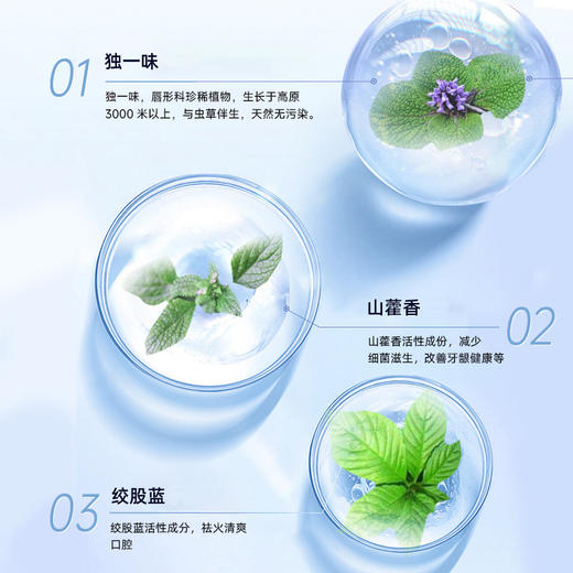 【拍1发16件套！独一味藏药牙膏】特别添加藏药“独一味” 天然绿色提取 yi制牙菌斑、改善牙龈健康状况，抗牙本质敏感，不含氟不含重金属 商品图5