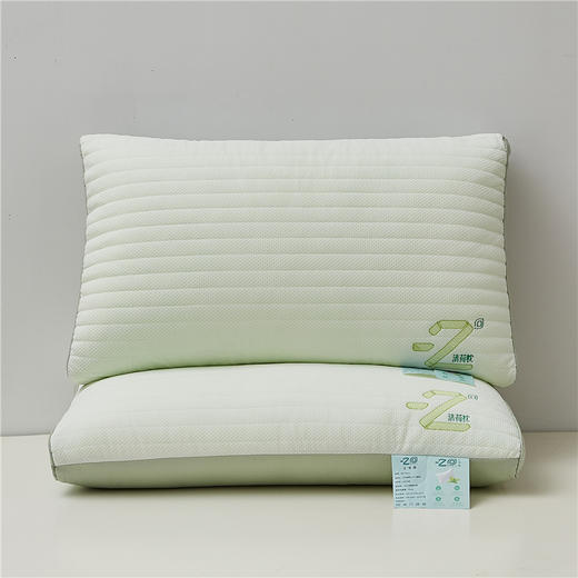 【下架】自然醒针织网眼清荷枕头枕芯护颈椎助睡眠清新薄荷刺绣枕夏季枕芯一对家用宿舍单人枕LK 商品图3