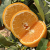 雲端•甜沃柑，一口爆汁，清香扑鼻、果肉细腻化渣 商品缩略图0