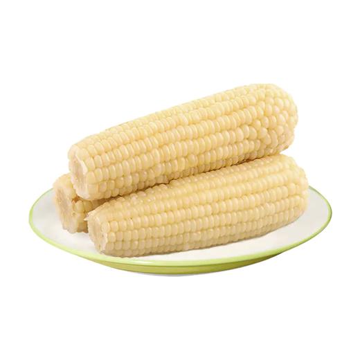 【3人成团】熟玉米（2根）  230078 商品图0