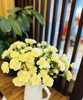 【稀有系列】多丁康乃馨~黄色 约20枝/扎 商品缩略图2