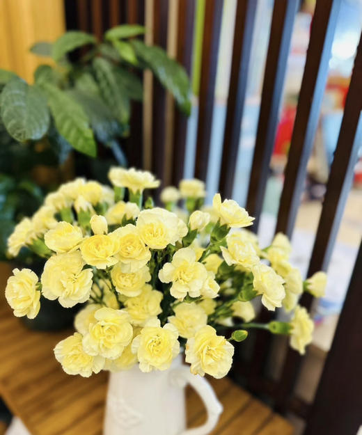 【稀有系列】多丁康乃馨~黄色 约20枝/扎 商品图2