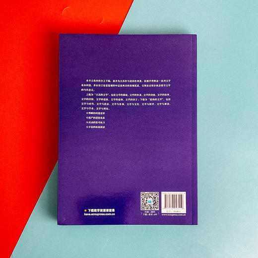 文学理论初阶 文学理论教科书 文学基本问题 刘阳 商品图2