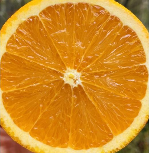 推荐一款橙子，加州3107甜橙，备受阳光宠爱的橙子，光滑又漂亮，肉质厚糯，细腻多汁，黄金甜度，芬芳水润～ 商品图1