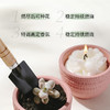 栖溪盆栽植物香薰蜡烛 雪浸山茶/仙客茉茶/山野栀茶 能种花的蜡烛 商品缩略图3