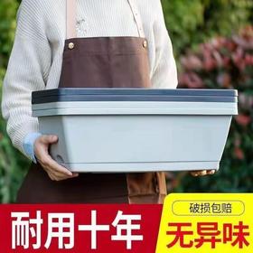 蔬菜水果种植箱