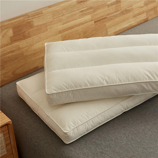 【下架】自然醒A类全棉蚕丝枕五星级酒店护颈椎助睡眠枕头枕芯学生宿舍家用低枕整头LK 商品图5