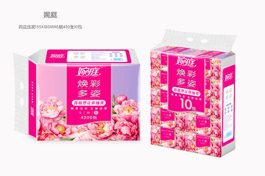 婉庭焕采多姿抽纸420张(WS5420L10)10包/提 商品图1