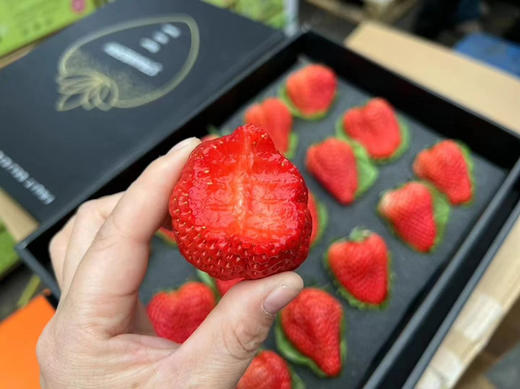 不曾入眼 何以入心 正宗丹东草莓🍓，完熟甜糯不空心！小时候的草莓味道，自然香浓～ 商品图4