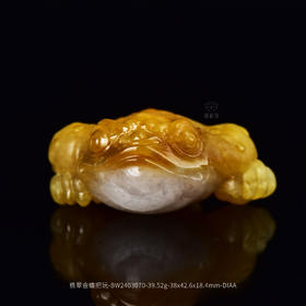 【金蟾】翡翠金蟾把玩-BW2403070