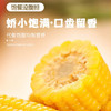 自营（月亮湾）-东北黄糯玉米 商品缩略图4