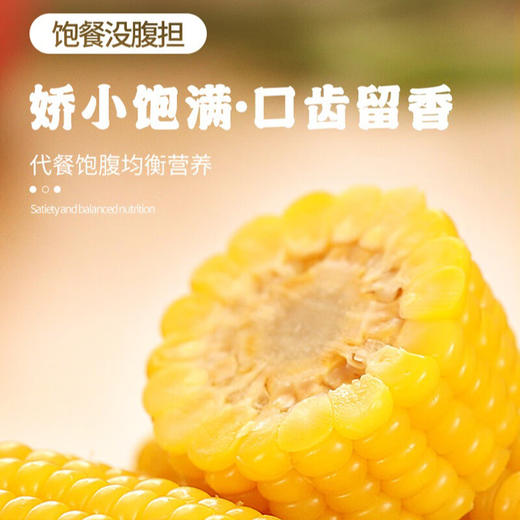 自营（月亮湾）-东北黄糯玉米 商品图4