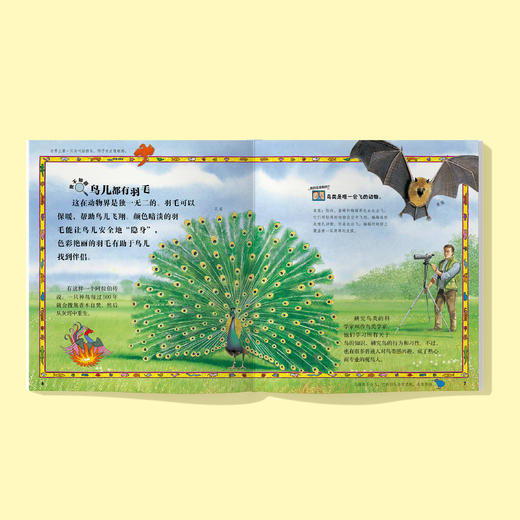 《太酷啦！动物的秘密如此多》（全12册） 商品图3