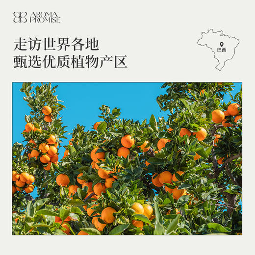 甜橙精油10ml （限用日期2025/1/18） 商品图4