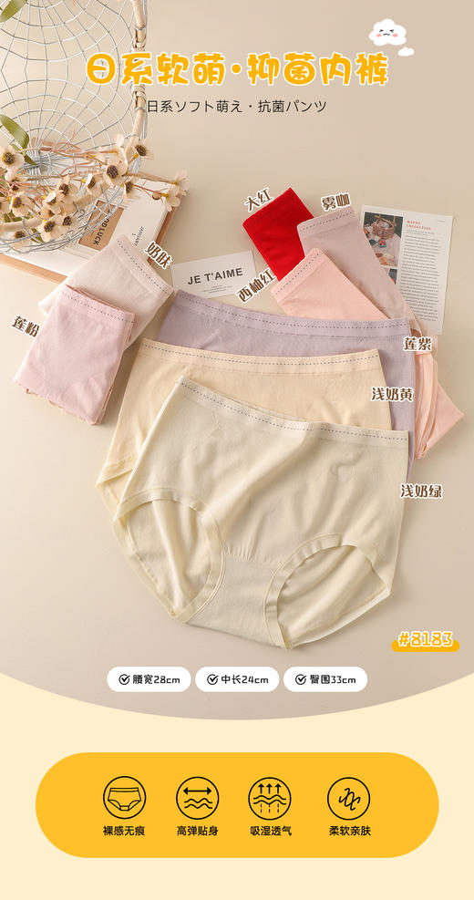 女士春日裸肌焦糖玛奇朵无缝内裤8181/8183/9004 商品图2