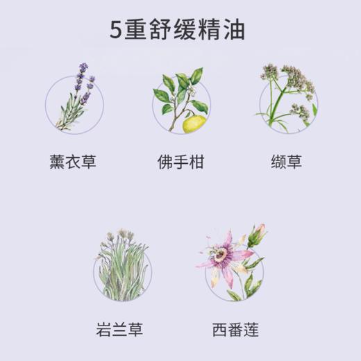 【法国梦天然“晚安膏”】多种珍贵植物精萃，自带草本气息 五重舒缓精油，寻回深度好眠 商品图3