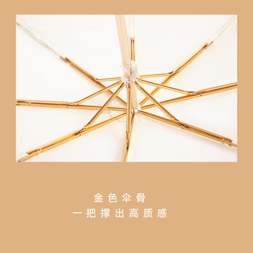 missrain觅雨轻奢系列玫瑰三折伞双层 商品图3