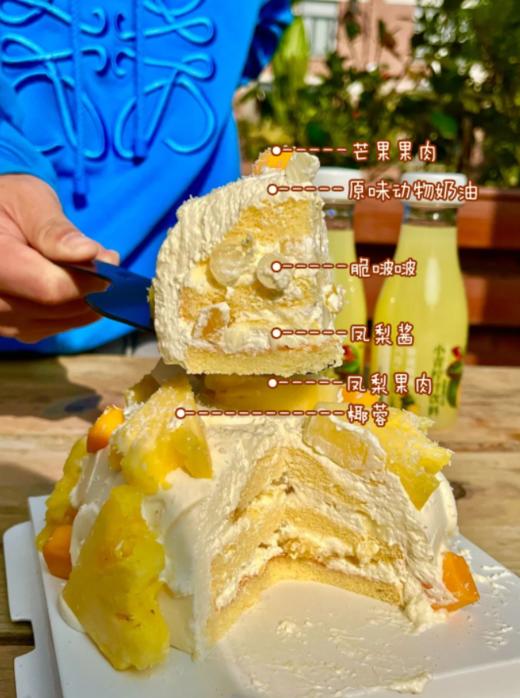 糕小生『金钻凤梨鲜奶蛋糕』回归啦，春天里的清甜C位，2:8酸甜比，给你初恋的味道~ 商品图3