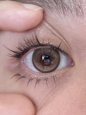 Budercon美瞳 皇家千层 14.2mm