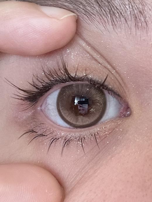 Budercon美瞳 皇家千层 14.2mm 商品图0