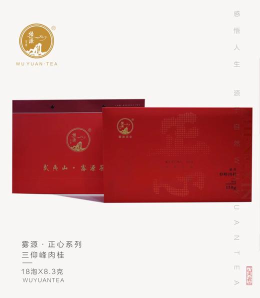 自营（雾源）-海云端董事长的茶 正心系列 武夷茶 三仰峰.肉桂150g 商品图4