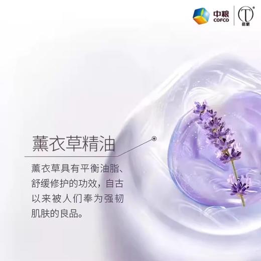 中粮德兰薰衣草纯露（单支）150ml/瓶 商品图3