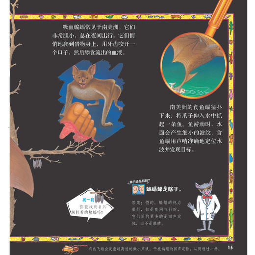 《太酷啦！动物的秘密如此多》（全12册） 商品图14