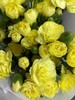 【稀有系列】多丁康乃馨~黄色 约20枝/扎 商品缩略图3