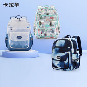 卡拉羊儿童双肩包简约百搭旅游背包男女小学游学包绿野仙踪CX2831+CX5485（TX）