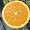 推荐一款橙子，加州3107甜橙，备受阳光宠爱的橙子，光滑又漂亮，肉质厚糯，细腻多汁，黄金甜度，芬芳水润～ 商品缩略图2