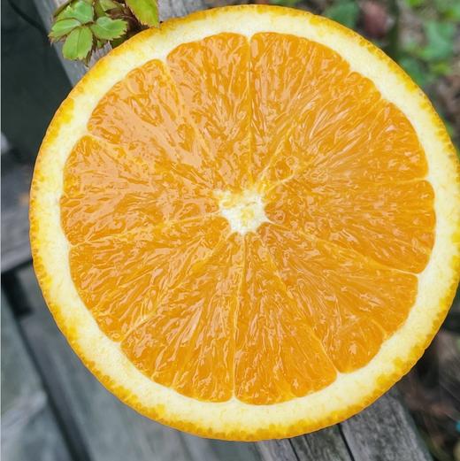 推荐一款橙子，加州3107甜橙，备受阳光宠爱的橙子，光滑又漂亮，肉质厚糯，细腻多汁，黄金甜度，芬芳水润～ 商品图2