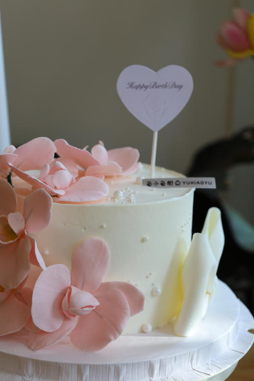 粉色蝴蝶兰 商品图9