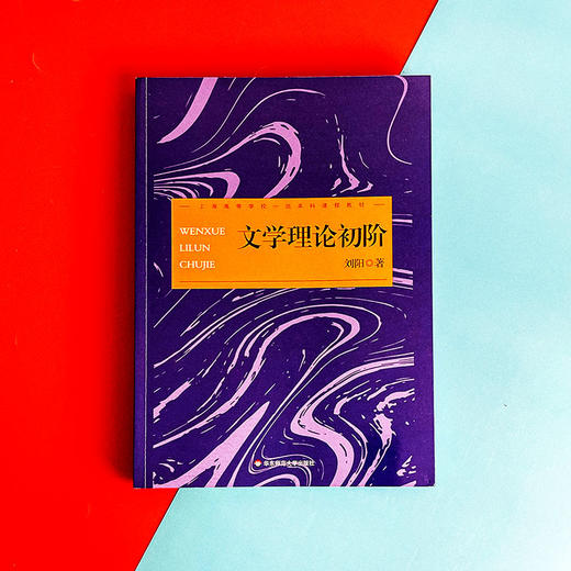 文学理论初阶 文学理论教科书 文学基本问题 刘阳 商品图1